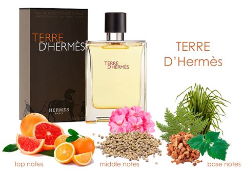 terre d hermes note|terre hermes composition.